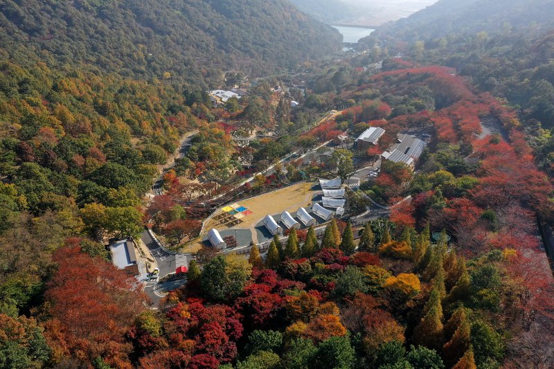[경남의 명소⓷] 진주 진성면 ‘월아산 숲속의 진주’ - 파이낸셜뉴스
