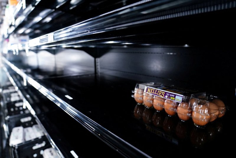 뉴질랜드인들이 달걀 품귀 속에 닭사육에 뛰어들고 있다고 CNN이 20일(현지시간) 보도했다. 달걀 부족이 조류독감 속에 전세계적인 현상이 된 가운데 지난해 1월 9일 미국 워싱턴의 한 식료품점 달걀 진열대가 텅텅 비어 있다. 로이터연합