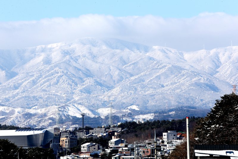 [강릉=뉴시스] 김경목 기자 = 16일 오전 강원 강릉시 성산면 대관령·선자령 등 백두대간 고갯길에 많은 눈이 내리면서 그림 같은 설경이 연출되고 있다. 2023.01.16. photo31@newsis.com