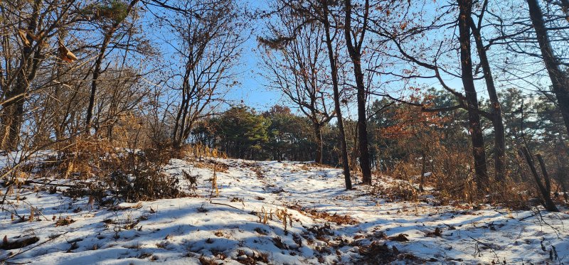[안성=뉴시스] 이병희 기자 = 안성시 대덕면 토현리. 마을 뒷산이 토끼처럼 생겼고, 이 산 뒷마을로 통하는 고개가 있다고 해서 '토고개', '토현'이라고 한다. 2023.01.22. iambh@newsis.com *재판매 및 DB 금지