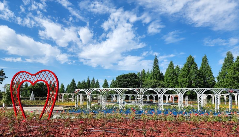 일산호수공원 장미원. (사진=고양시 제공)