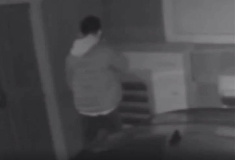 ('보배드림' 갈무리)