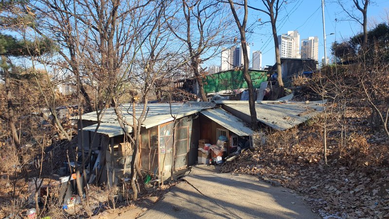 지난달 30일 서울 강남구 달터근린공원 안에 위치한 한 판잣집. 산지에 위치해 있으며 추위를 막기 위해 비닐로 외부를 둘러쌌다. 뒷편으로 고층 아파트가 보인다. 사진=노유정 기자