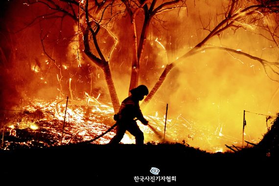 <59회 한국보도사진상 - 최우수상> 울진 산불이 발생한 4일 경북 울진군 북면 고목1리에서 소방관이 야간 진화 작업을 하고 있다. 이날 발생한 산불은 한국 역사상 가장 긴 213시간 동안 이어졌다. <이현덕기자/ 영남일보/ 한국사진기자협회 - 무단전재 재배포금지>