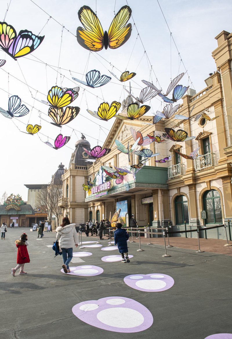 평생봐도 못 볼 나비, 에버랜드에서 다 본다 [Weekend 레저]