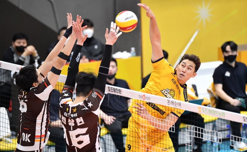 KB손보 한성정 [KOVO 제공. 재판매 및 DB 금지]