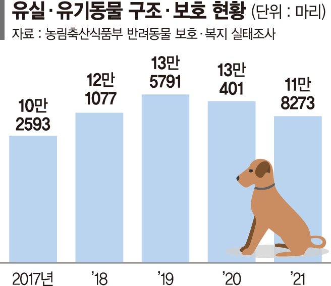 매년 버려지는 반려동물 10만마리… "유기 처벌 강화해야"