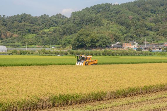 전남도, 식량산업 경쟁력 강화 핵심사업에 7550억 원 투입