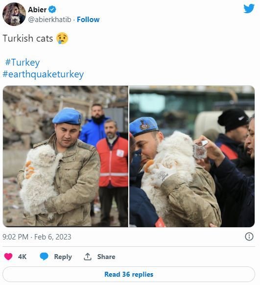 6일(현지시간) 한 트위터 유저가 튀르키예(터키)·시리아 대지진으로 붕괴된 건물 속에서 고양이를 구한 구조대원의 사진을 올렸다. (트위터 갈무리) /사진=뉴스1