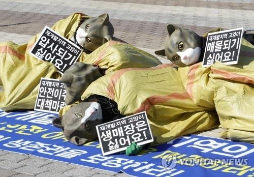 [길고양이 논쟁] ③'중성화' 효과는…"개체수 감소" vs "효과 의문" 2021년 2월 9일 오후 청와대 분수대 앞에서 한국동물보호연합 등 시민단체 회원들이 '재개발, 재건축 지역의 길고양이 안전 이주 대책 마련'을 촉구하는 퍼포먼스를 하고 있다. [연합뉴스 자료사진]