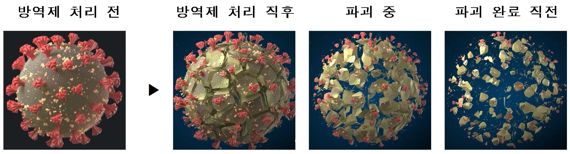 인체 무해하게 바이러스만 99.99% 죽인다