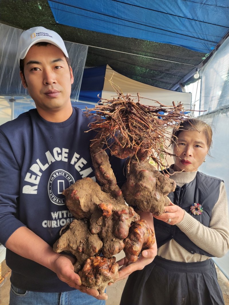 대형 하수오를 캐낸 박필순·최용원 모자. 한국전통심마니협회 제공 *재판매 및 DB 금지