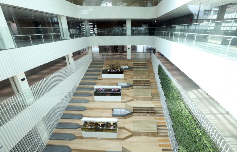 세종시 어진동에 개청한 정부세종청사 중앙동에 15일부터 행정안전부와 기획재정부가 입주를 시작한다. 민원동 중앙 공간은 열린 도서관을 연상하게 하는 게단식 공간 및 조경으로 민원이들 및 청사 이용객들의 휴식 공간으로 많은 사랑을 받을 것으로 기대 된다. 2023.2.14/뉴스1