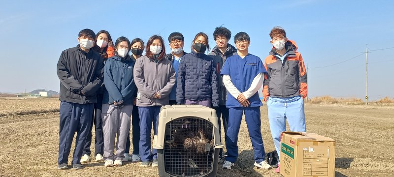 전북야생동물구조관리센터가 구조해 지난 13일 방생한 독수리. 사진은 방생 직전 모습. /사진=전북대