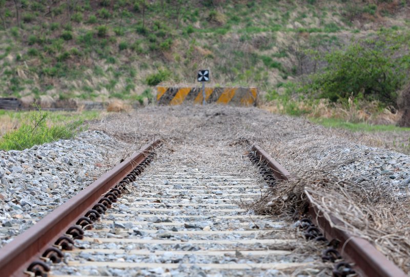 강원도 고성군 민통선 내 동해선 제진역 강릉 방향 철로 자료 사진.(뉴스1 DB)