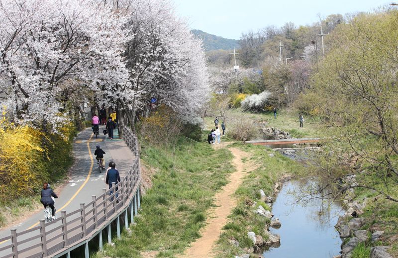 인천 남동구는 인천대공원 인근의 장수천에 주민들이 쉬어가는 안전한 산책로 조성을 추진한다. 사진은 장수천 전경.