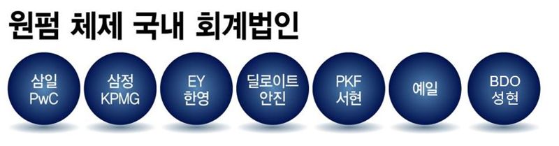 원펌 체제인 국내 회계법인들 /그래픽=정기현 기자