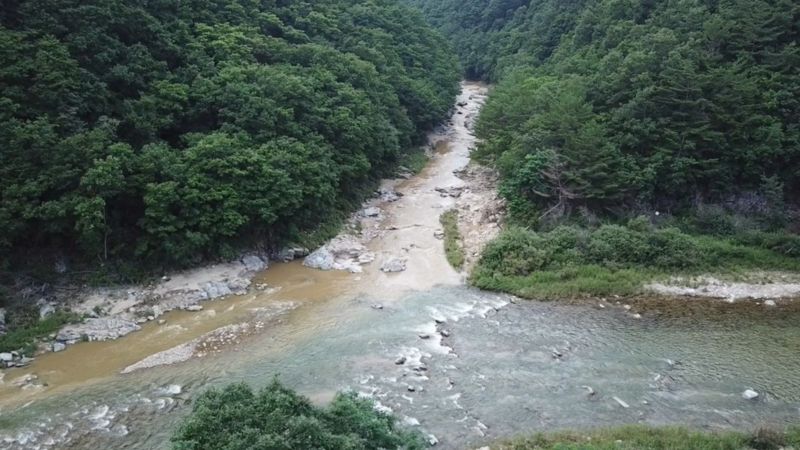 강원도 산간 흙탕물 저감사업 수질개선 효과 '톡톡'