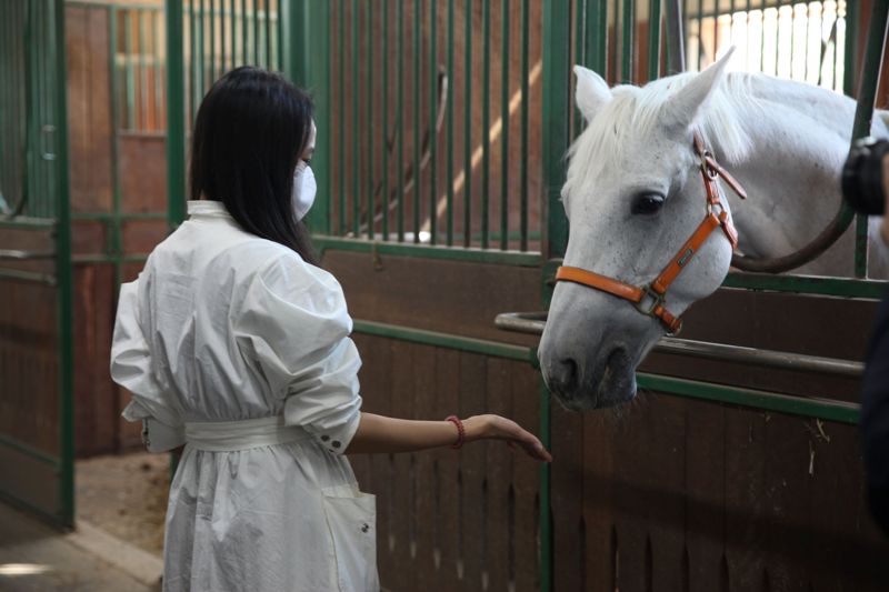 부산 강서구 범방동에 위치한 한국마사회 렛츠런파크 부산경남이 운영하는 '렛츠런투어'는 타고 가이드 설명을 들으며 동물병원, 말 수영장, 승용마사 등 경마공원 곳곳을 둘러볼 수 있는 이색 코스로 인기가 높다. 사진=렛츠런파크 부산경남 제공