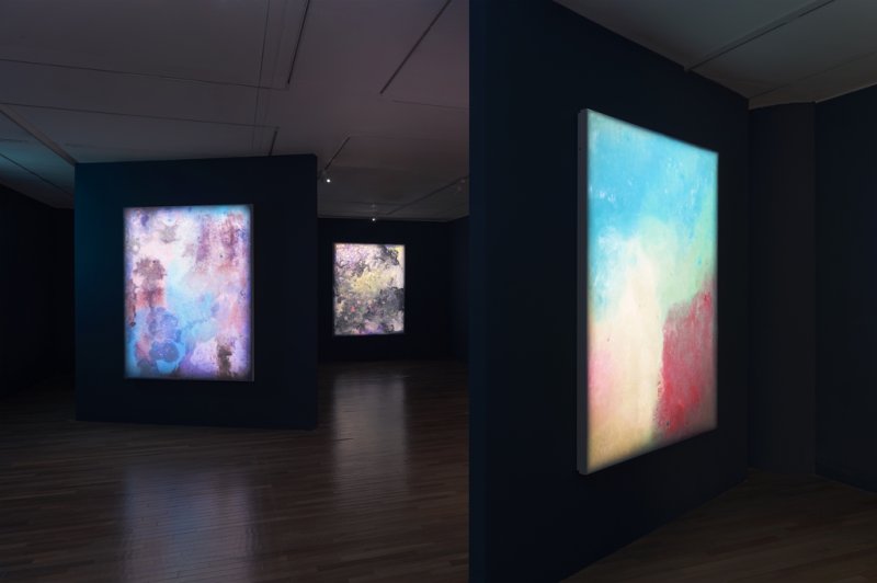 라지 페인팅 시리즈 전시 전경 [코리아나미술관 제공. 재판매 및 DB 금지]