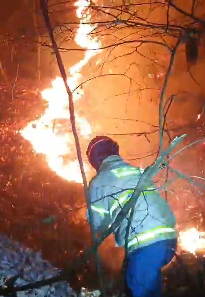 경북도119산불특수대응단이 28일 오후 경북 예천군 풍양면 와룡리에서 발생한 산불을 진화하고 있다.(경북도소방본부제공)2023.2.28/뉴스1 ⓒ News1 최창호 기자