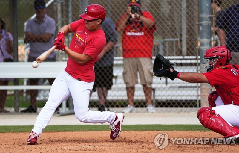 스프링캠프에서 타격 훈련 중인 토미 현수 에드먼 Feb 17, 2023; Jupiter, FL, USA; St. Louis Cardinals second baseman Tommy Edman (19) takes live batting practice. Mandatory Credit: Jim Rassol-USA TODAY Sports