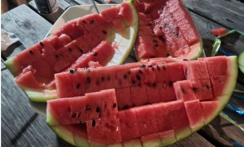 이재명 대표의 강성 지지자들 체포동의안 부결에 응하지 않은 비명계 등을 '수박'(겉과 속이 다른 사람)이라며 색출 작업에 나섰다. (SNS 갈무리)