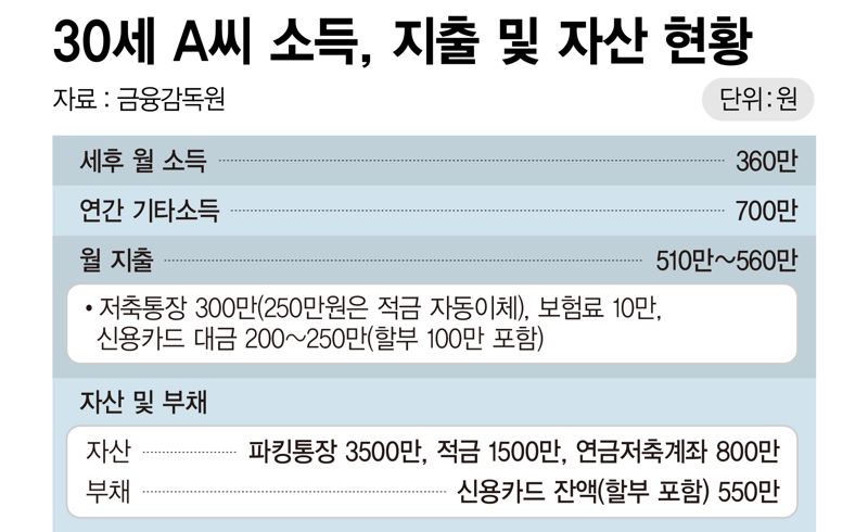 30세 A씨 소득·지출·자산 현황 /그래픽=정기현 기자