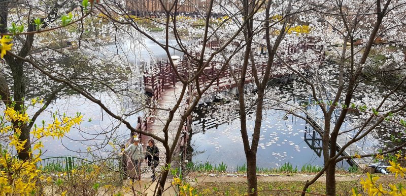 옛 대통령 별장 청남대.(자료사진) / 뉴스1