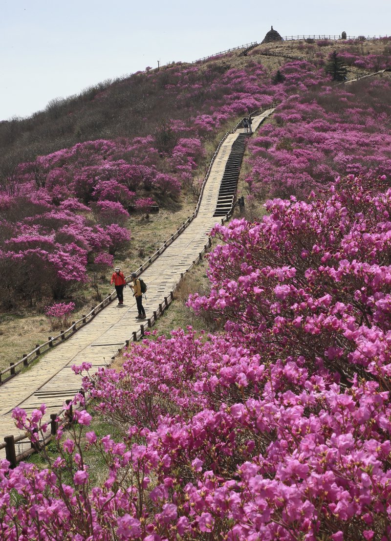 33년 추진한 지리산 케이블카는? 설악산 성사에 다시 꾸는 꿈