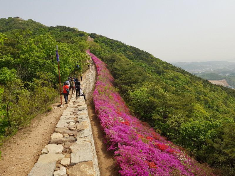 김포시, ‘산림휴양사업’에 행정력 '집중'