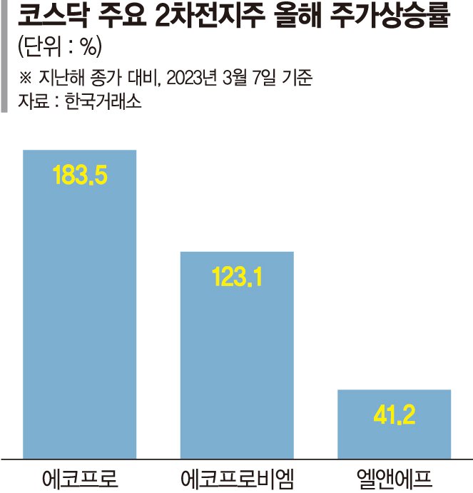 800선 넘은 코스닥, 올 20% 상승률... 에코프로·엘앤에프 등 2차전지가 견인