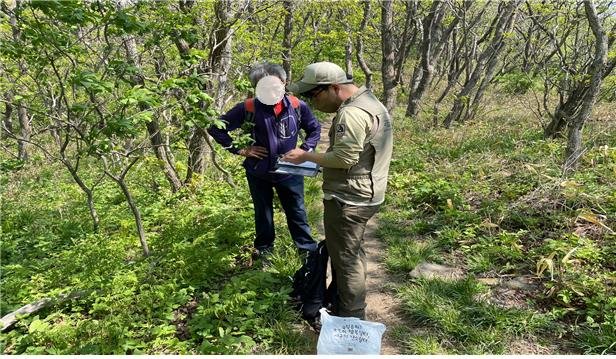 산나물 불법채취 단속 현장 (사진=소백산국립공원사무소 제공) *재판매 및 DB 금지