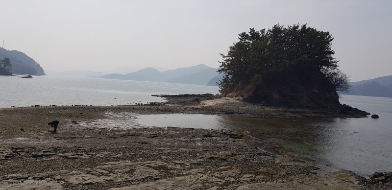 [창원=뉴시스] 홍정명 기자 = 경남 창원시 마산합포구 진동면 송도 앞 물 빠진 윗똥섬.2023.03.10. hjm@newsis.com