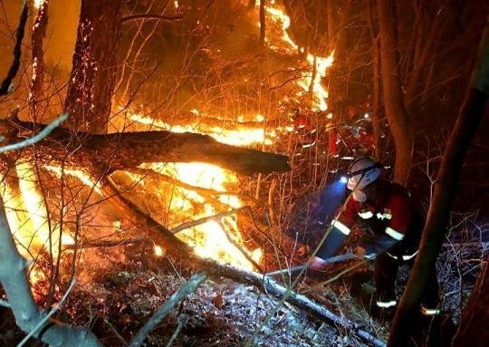 軍, 병력 200여명 투입 이틀째 '하동 산불 진화 지원' 하동 산불 21시간 만에 진화