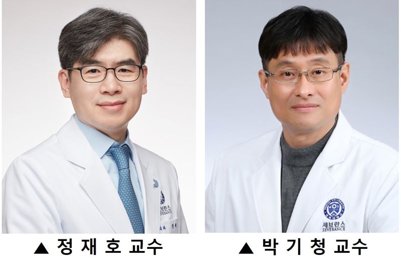 항암제 안 듣는 암, 치료 길 열린다..신약 후보 물질 개발