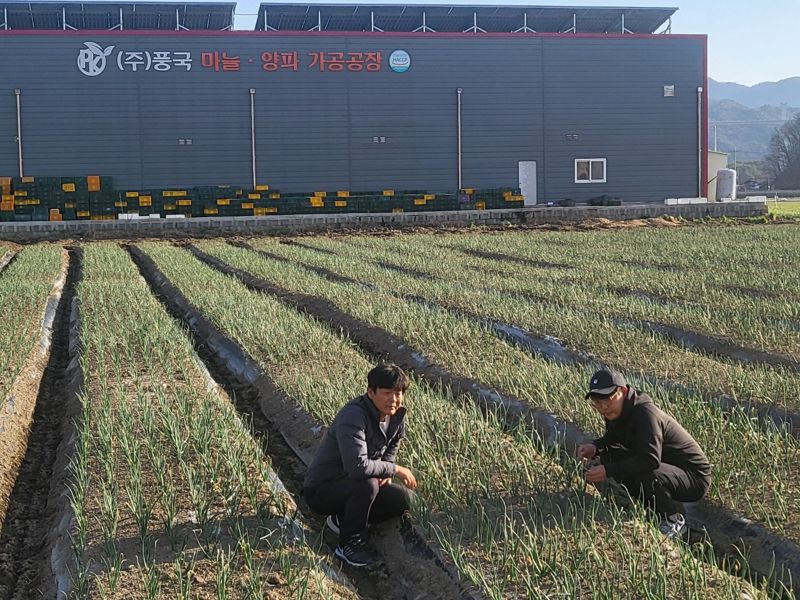 "깐마늘·깐양파로 연 매출 300억원 도전" 농업회사법인 (주)풍국