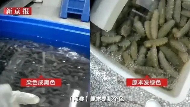 중국 수산물 가공업체 살균제로 해삼 세척. / 사진=연합뉴스
