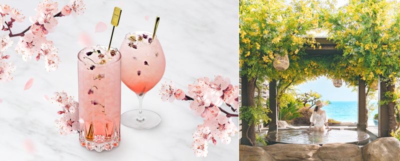 파라다이스시티의 ’라쿠’ 수제 벚꽃청 음료(왼쪽)와 파라다이스 호텔 부산의 ’스프링 가든’ 스파(오른쪽) 파라다이스호텔 제공