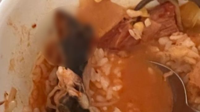 유니스 루세로리씨가 감미옥 소고기국밥에서 죽은 쥐가 나왔다며 올린 사진. 출처=인스타그램