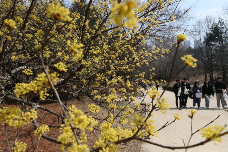 완연한 봄 날씨가 이어진 19일 서울 성동구 서울숲을 찾은 시민들이 휴일을 즐기고 있다. 2023.3.19/뉴스1 ⓒ News1 조태형 기자