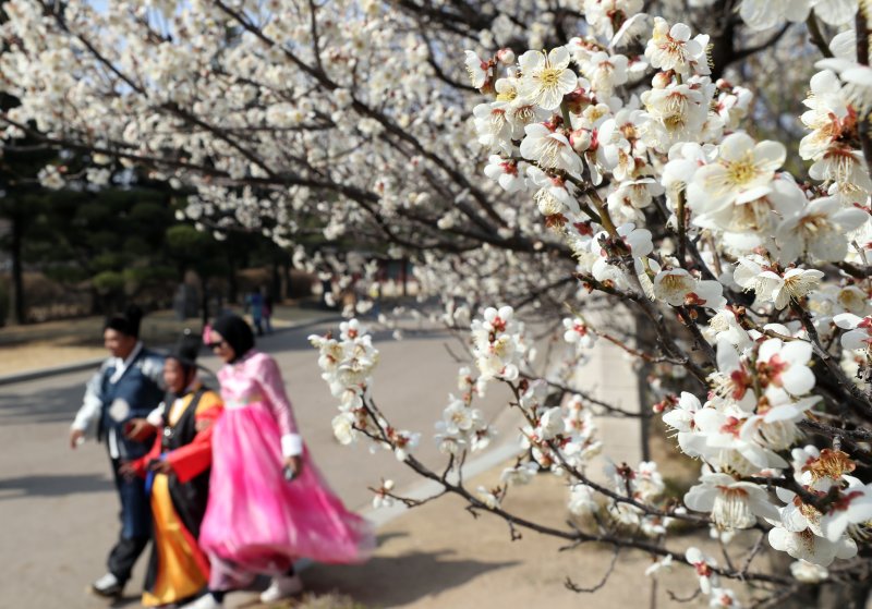 [서울=뉴시스] 김금보 기자 = 절기상 춘분을 이틀 앞둔 19일 오후 서울 종로구 국립민속박물관을 찾은 관광객들이 봄나들이하고 있다.2023.03.19. kgb@newsis.com