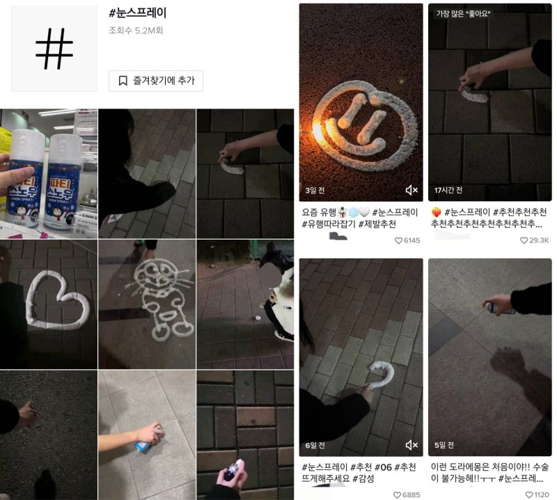 (틱톡 갈무리) /사진=뉴스1