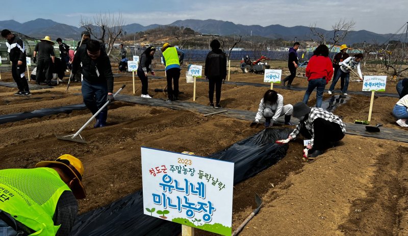 경북 청도군이 주말농장을 운영한다. 사진은 '들락날락' 주말농장 모습. (청도군 제공) 2023.3.20/뉴스1