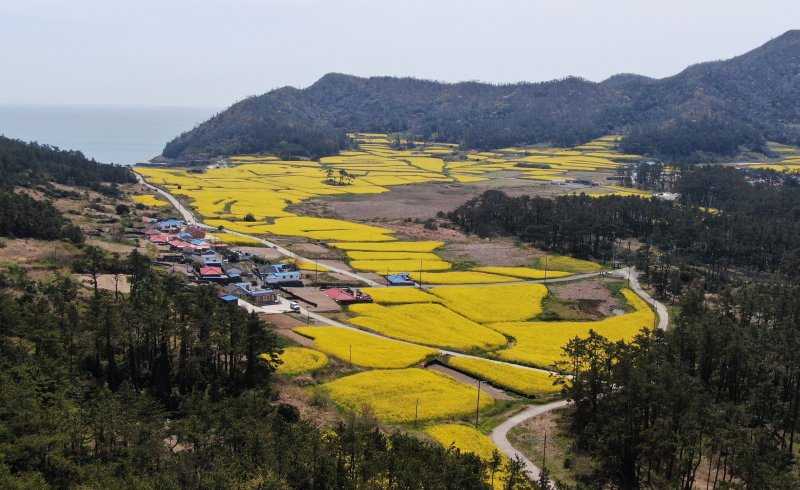 [진도=뉴시스] 행정안전부와 한국섬진흥원이 공동으로 선정한 '찾아가고 싶은 봄섬' 진도 관매도. (사진=전남도 제공) 2023.03.21. photo@newsis.com
