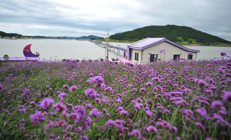 [신안=뉴시스] 행정안전부와 한국섬진흥원이 공동으로 선정한 '찾아가고 싶은 봄섬' 신안 반월박지도. (사진=전남도 제공) 2023.03.21. photo@newsis.com