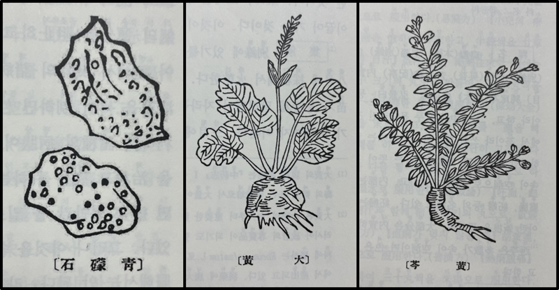 <본초강목>에 그려진 청몽석(靑礞石), 대황(大黃) 그리고 황금(黃金).