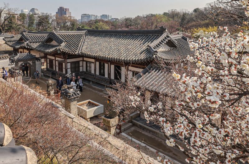 춘분,  '봄을 품은 낙선재'