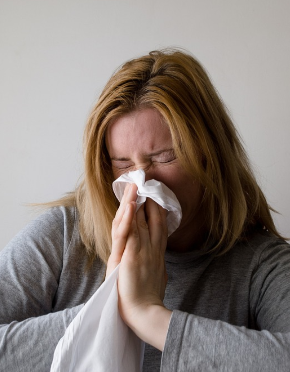 알레르기 비염의 증상은 코감기와 유사하지만 열을 동반하지 않는다는 점에서 증상이 다르다. 감기의 경우 코 증상과 함께 발열이 동반되고 대부분 1주일 안에 증상이 소실되지만, 알레르기 비염은 원인물질이 제거될 때까지 증상이 사라지지 않고 지속된다. 픽사제이 제공