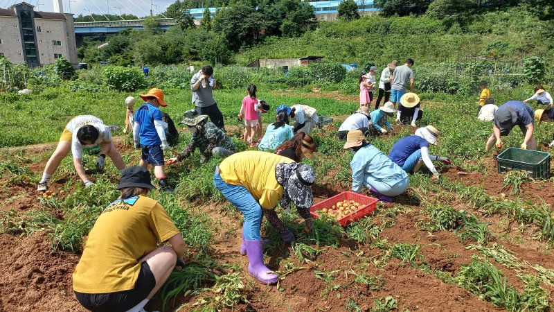 '경기도민텃밭' 4월 3일까지 분양 희망자 모집